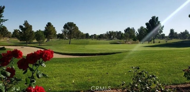 26822 Corona Dr, Helendale, CA 92342 - photo 30