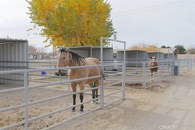 26822 Corona Dr, Helendale, CA 92342 - view of horse barn
