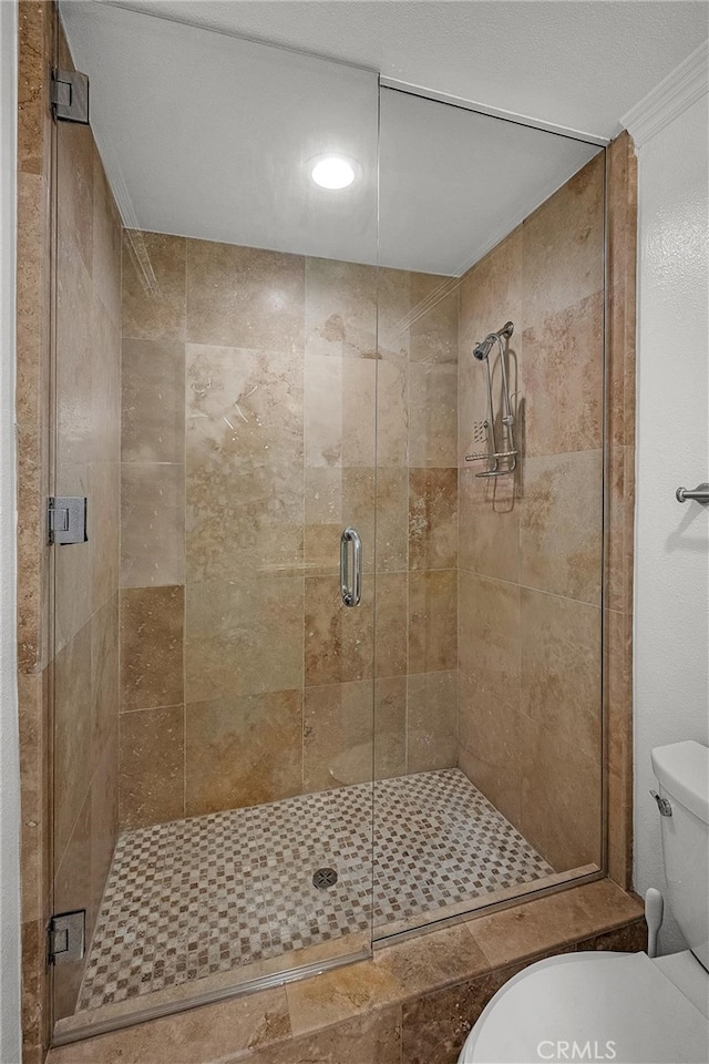 1205 S Catalina Ave S Unit A, Redondo Beach, CA 90277 - bathroom featuring toilet, a stall shower, and recessed lighting