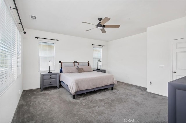 32172 Verbena Way, Temecula, CA 92591 - bedroom with multiple windows, carpet flooring, and ceiling fan