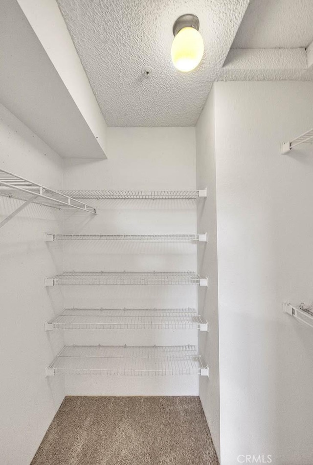 1995 Las Colinas Cir Unit 307, Corona, CA 92879 - spacious closet featuring carpet flooring