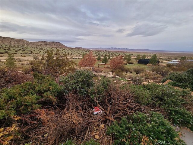 195 Old El Mirage Rd, Adelanto, CA 92301 - view of mountain backdrop