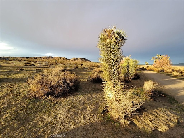 195 Old El Mirage Rd, Adelanto, CA 92301 - view of mountain background