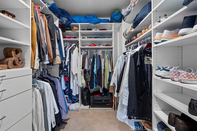 1801 Laurel Ave, Manhattan Beach, CA 90266 - spacious closet featuring carpet floors