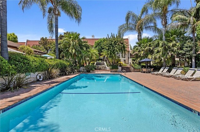 222551/4 Erwin St, Woodland Hills, CA 91367 - photo 31