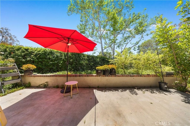 11 Palos Unit 55, Irvine, CA 92612 - view of patio