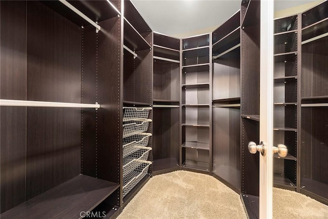 298 W Pebble Creek Ln, Orange, CA 92865 - walk in closet with carpet floors