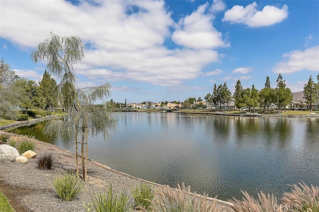 28705 Bridge Water Ln, Menifee, CA 92584 - water view