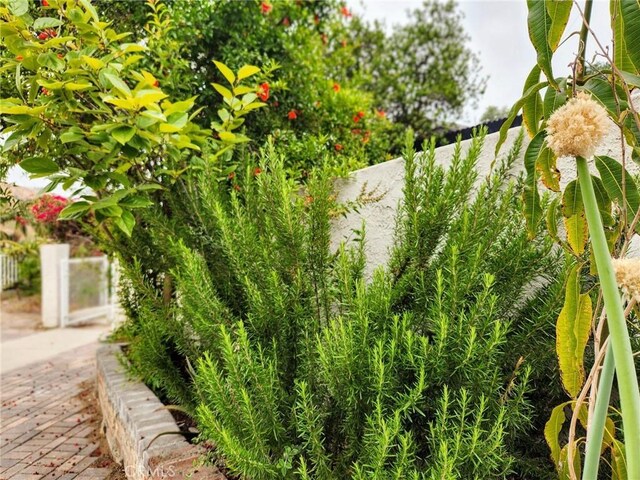 4297 Moonstone Dr, Los Angeles, CA 90032 - view of yard