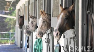 5369 Algarrobo Unit 1G, Laguna Woods, CA 92637 - view of horse barn