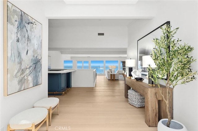 326 Boca Del Canon, San Clemente, CA 92672 - hall featuring light wood-style flooring