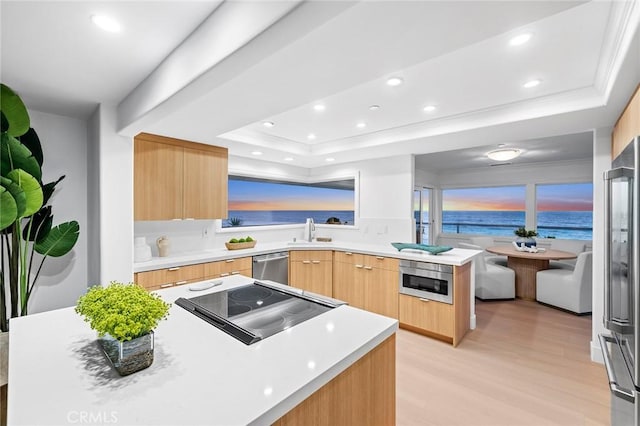 326 Boca Del Canon, San Clemente, CA 92672 - kitchen with modern cabinets, a raised ceiling, light wood-style floors, a sink, and light brown cabinetry