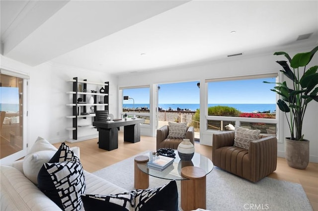 326 Boca Del Canon, San Clemente, CA 92672 - living area featuring wood finished floors, a water view, and baseboards