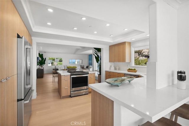326 Boca Del Canon, San Clemente, CA 92672 - kitchen featuring stainless steel appliances, modern cabinets, light wood-style flooring, a raised ceiling, and crown molding