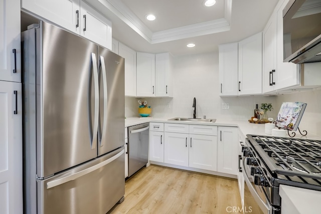 658 S Webster Ave Unit 4, Anaheim, CA 92804 - kitchen featuring appliances with stainless steel finishes, a sink, a tray ceiling, light wood-type flooring, and light countertops