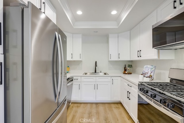 658 S Webster Ave Unit 4, Anaheim, CA 92804 - kitchen featuring stainless steel appliances, a sink, a raised ceiling, crown molding, and light wood-style floors