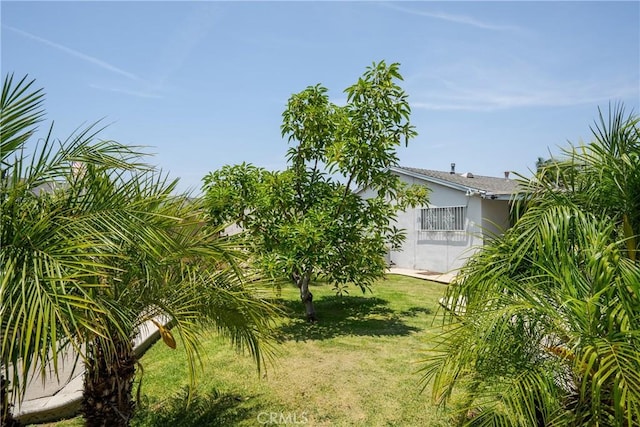 1254 Fieldgate Ave, Hacienda Heights, CA 91745 - view of grassy yard