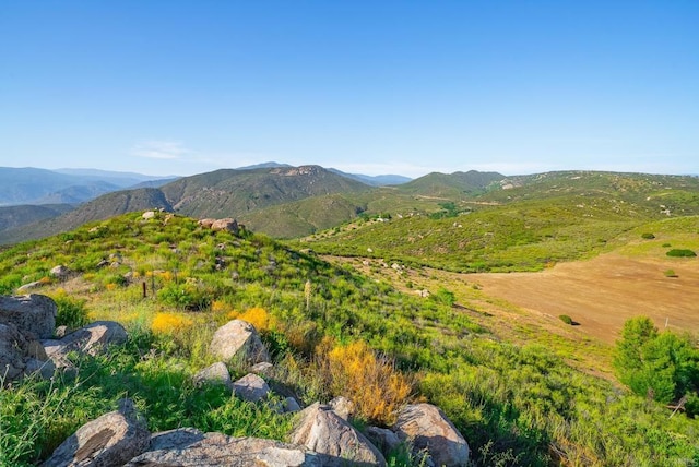 403 Black Canyon Pl, Ramona, CA 92065 - photo 57
