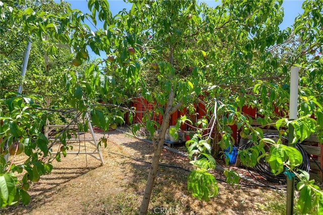 233 E Swift St, Orland, CA 95963 - view of yard