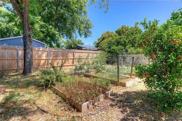 233 E Swift St, Orland, CA 95963 - view of yard featuring a vegetable garden