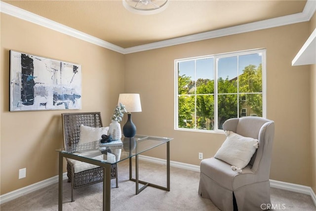 11 Berlamo, Rancho Santa Margarita, CA 92688 - office space with crown molding, light colored carpet, and baseboards