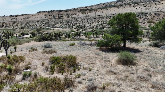 0 Pipeline, Pinon Hills, CA 92372 - photo 2