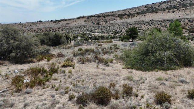 0 Pipeline, Pinon Hills, CA 92372 - photo 3