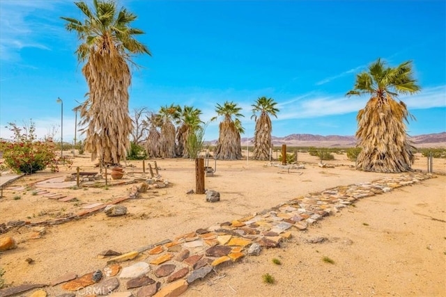 380 Mack Ln Unit 29, Palms, CA 92277 - view of yard with a view of rural / pastoral area