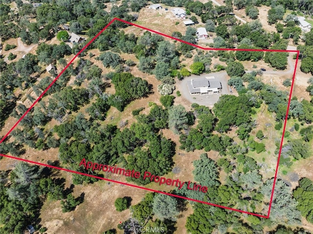 3668 Homestead Rd, Mariposa, CA 95338 - photo 5