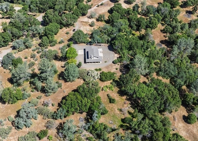 3668 Homestead Rd, Mariposa, CA 95338 - photo 32