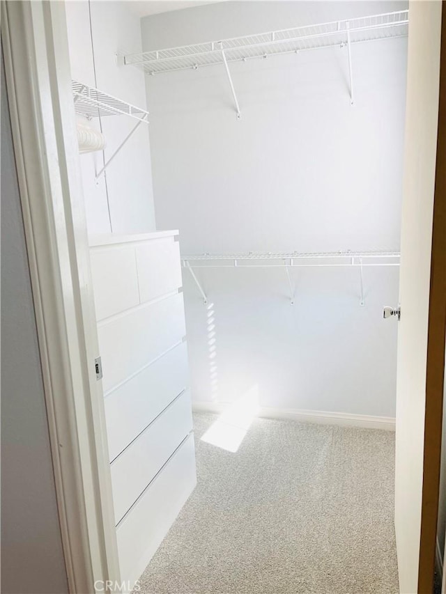 14120 W Willow Ln, Van Nuys, CA 91405 - walk in closet with carpet