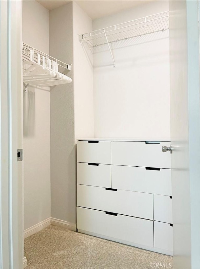 14120 W Willow Ln, Van Nuys, CA 91405 - view of spacious closet