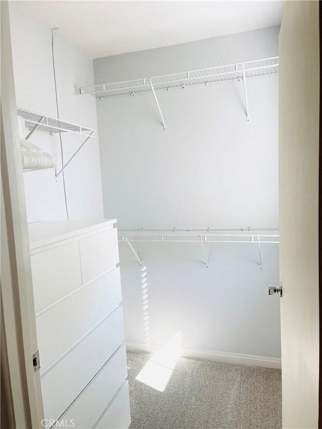 14120 W Willow Ln, Van Nuys, CA 91405 - walk in closet featuring carpet flooring
