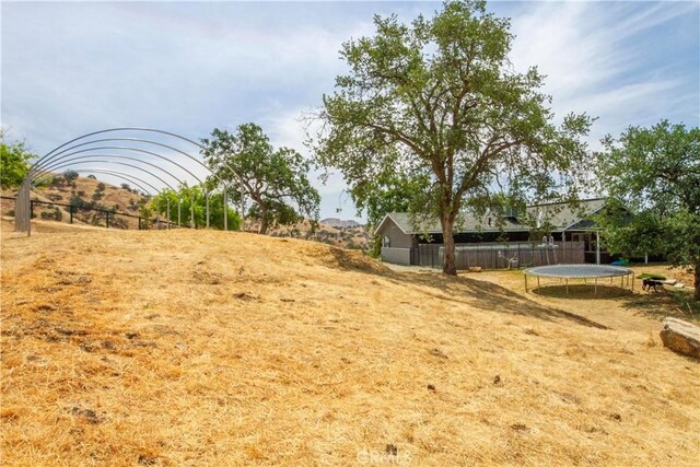 33708 Bronco Ln, Squaw Valley, CA 93675 - view of yard with a trampoline