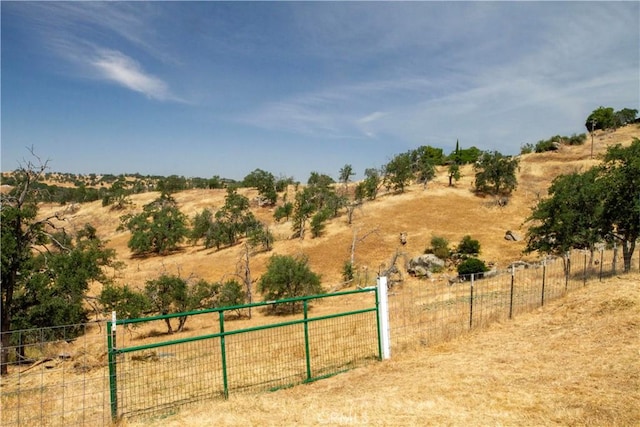 33708 Bronco Ln, Squaw Valley, CA 93675 - view of yard featuring a rural view