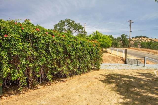 33708 Bronco Ln, Squaw Valley, CA 93675 - view of yard