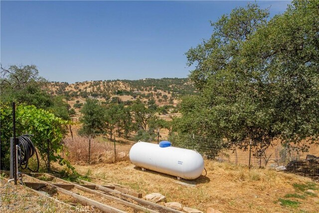 33708 Bronco Ln, Squaw Valley, CA 93675 - view of yard