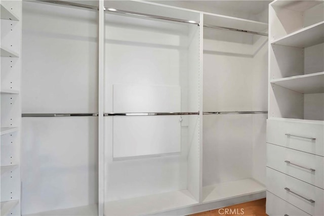 11938 Whitewater Ln, Malibu, CA 90265 - view of walk in closet