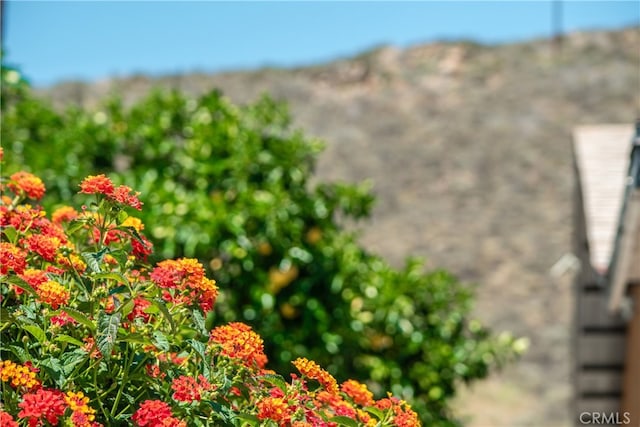 27071 Crews Hill Dr, Menifee, CA 92586 - exterior view