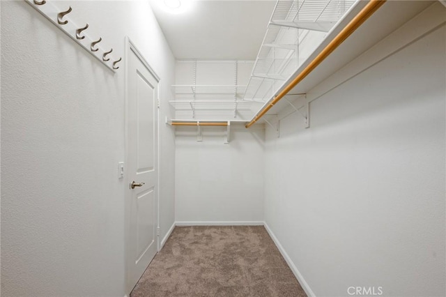 5547 Strand Unit 101, Hawthorne, CA 90250 - spacious closet with carpet floors