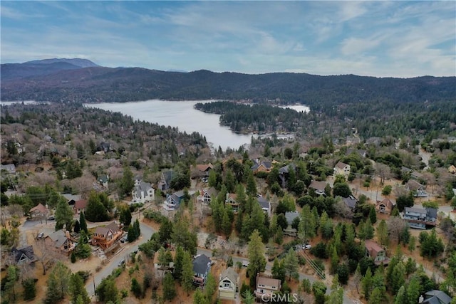1285 Yukon Dr, Lake Arrowhead, CA 92352 - view of property location with a water and mountain view and a forest
