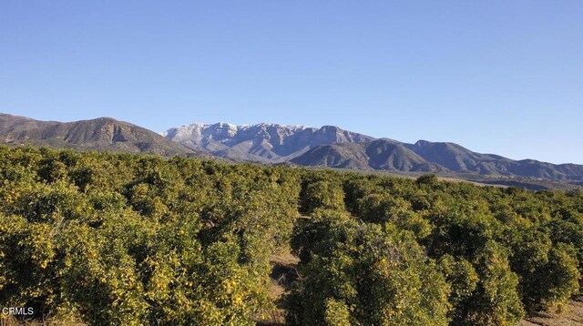 1797 Foothill Rd, Ojai, CA 93023