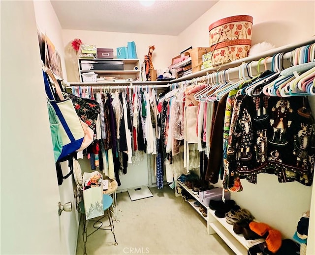 4 Camphor S, Irvine, CA 92612 - spacious closet featuring carpet flooring