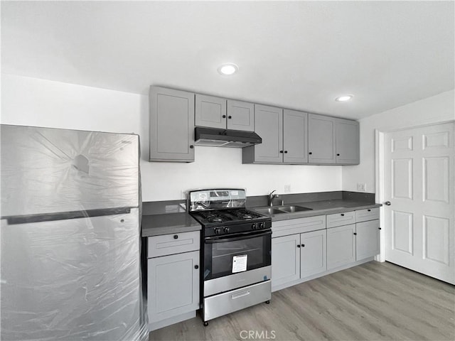 10405 S Hoover St, Los Angeles, CA 90044 - kitchen featuring stainless steel range with gas stovetop, under cabinet range hood, a sink, light wood-type flooring, and gray cabinets