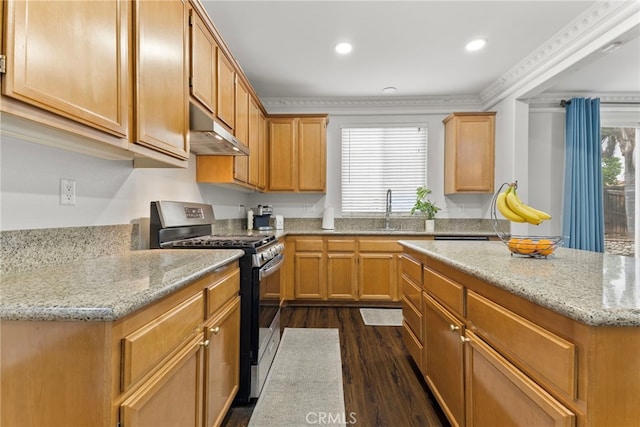 3883 Taconite Rd, San Bernardino, CA 92407 - kitchen featuring stainless steel range with gas cooktop, under cabinet range hood, a sink, dark wood finished floors, and light stone countertops