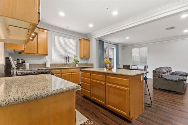 3883 Taconite Rd, San Bernardino, CA 92407 - kitchen featuring gas range oven, crown molding, dark wood finished floors, a kitchen island, and open floor plan