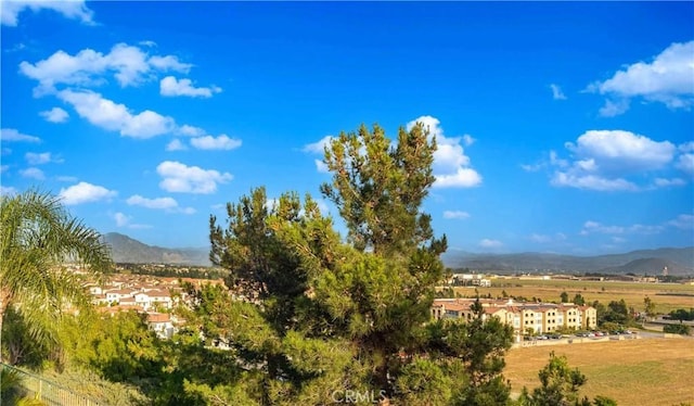 668 Corte Sol, Camarillo, CA 93010 - mountain view