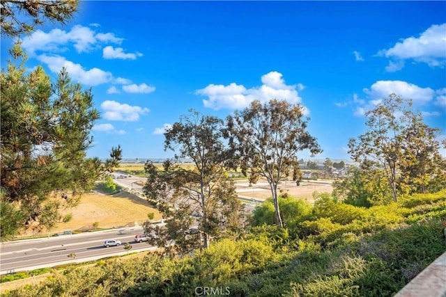 668 Corte Sol, Camarillo, CA 93010 - view of yard