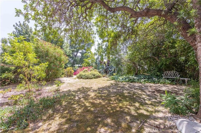 11811 Louise Ave, Granada Hills, CA 91344 - view of yard