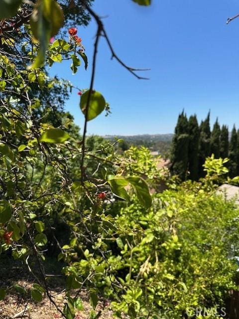 22633 Crespi St, Woodland Hills, CA 91364 - photo 50